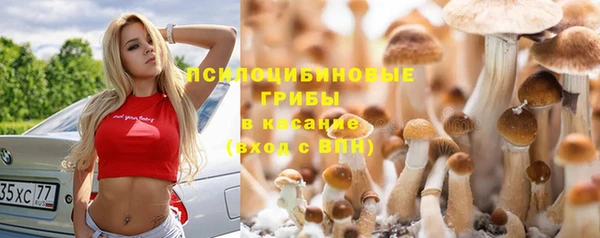 ALPHA PVP Медногорск