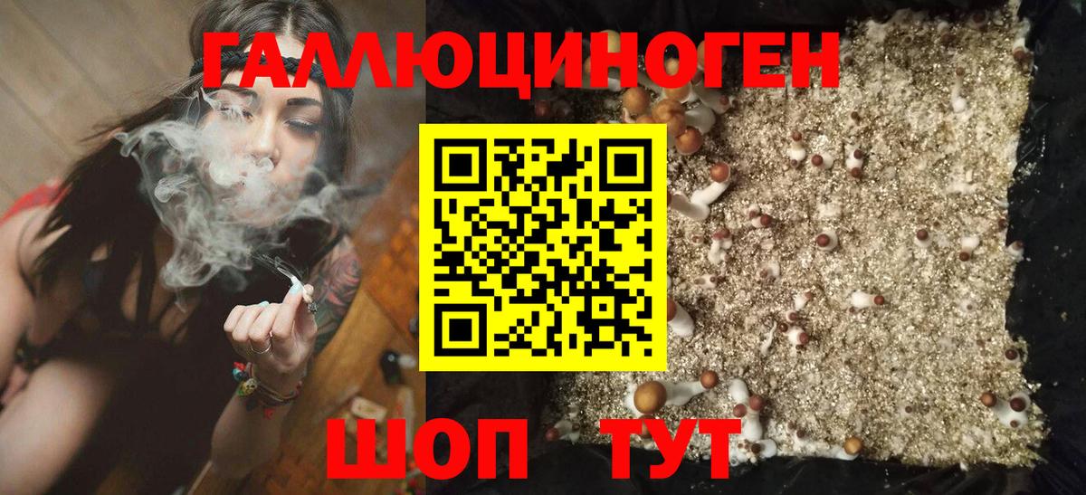 Галлюциногенные грибы MAGIC MUSHROOMS  Галлюциногенные грибы Cubensis  Канск  Вход с VPN 