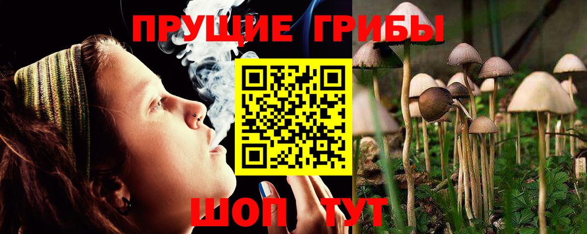 Галлюциногенные грибы прущие грибы  Канск 