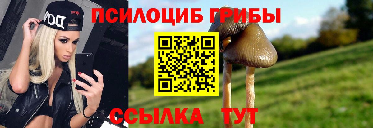 Псилоцибиновые грибы мухоморы Канск